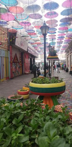 عکس کوچه تمدن 