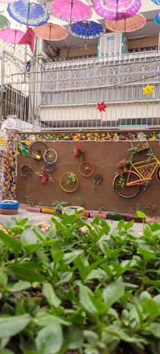 عکس کوچه تمدن 