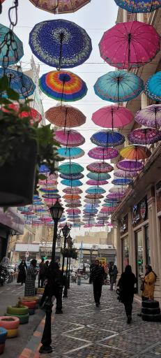 عکس کوچه تمدن 