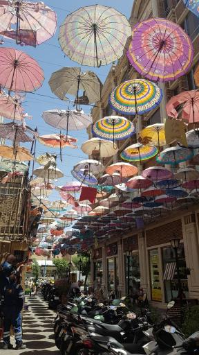 عکس کوچه تمدن 