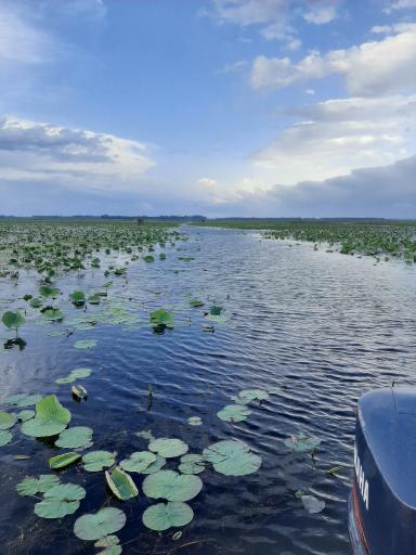 عکس اسکله تفریحی لاله مرداب