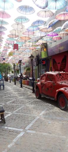 عکس کوچه تمدن 