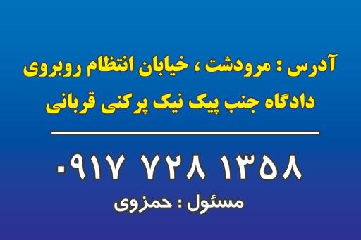 عکس الکتروپمپ حمزوی