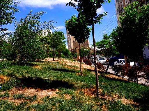 عکس فضای سبز