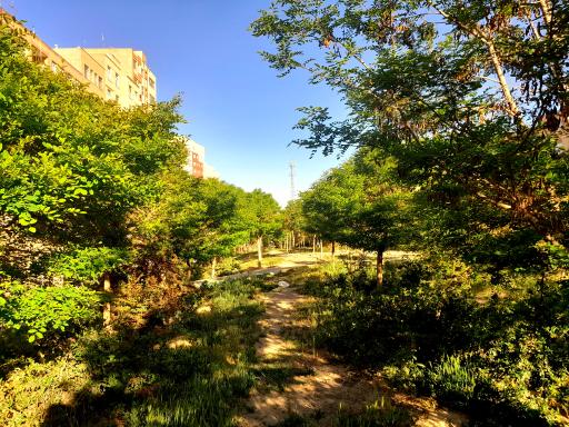 عکس فضای سبز