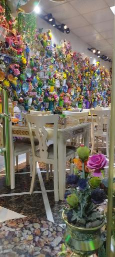 عکس طباخی منصور