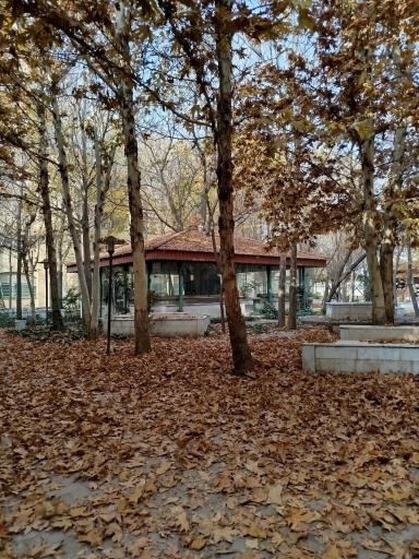 عکس کافی شاپ دانشکده ادبیات 