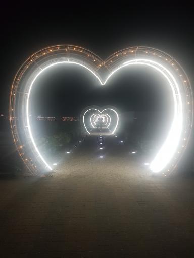 عکس ساحل شیندان