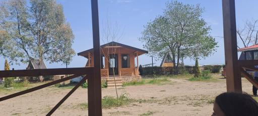 عکس ساحل شیندان