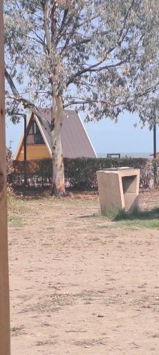 عکس ساحل شیندان