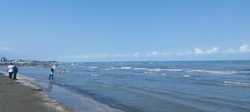 عکس ساحل شیندان