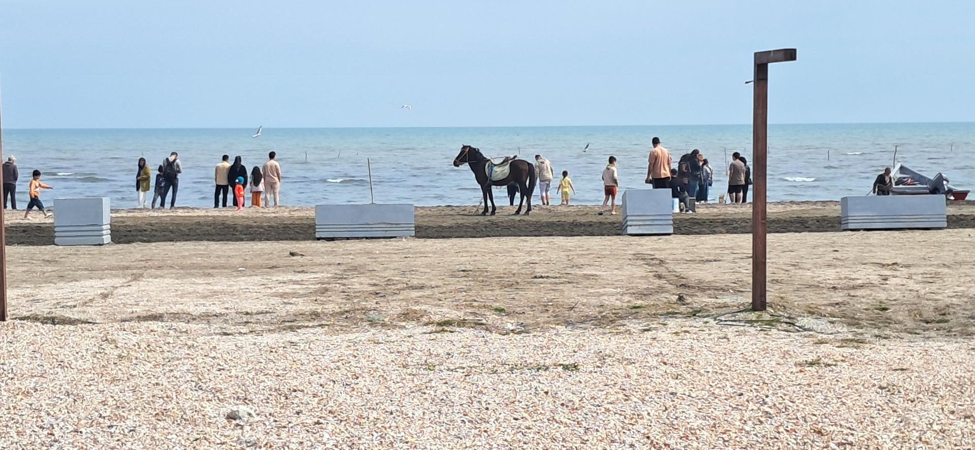 عکس ساحل شیندان