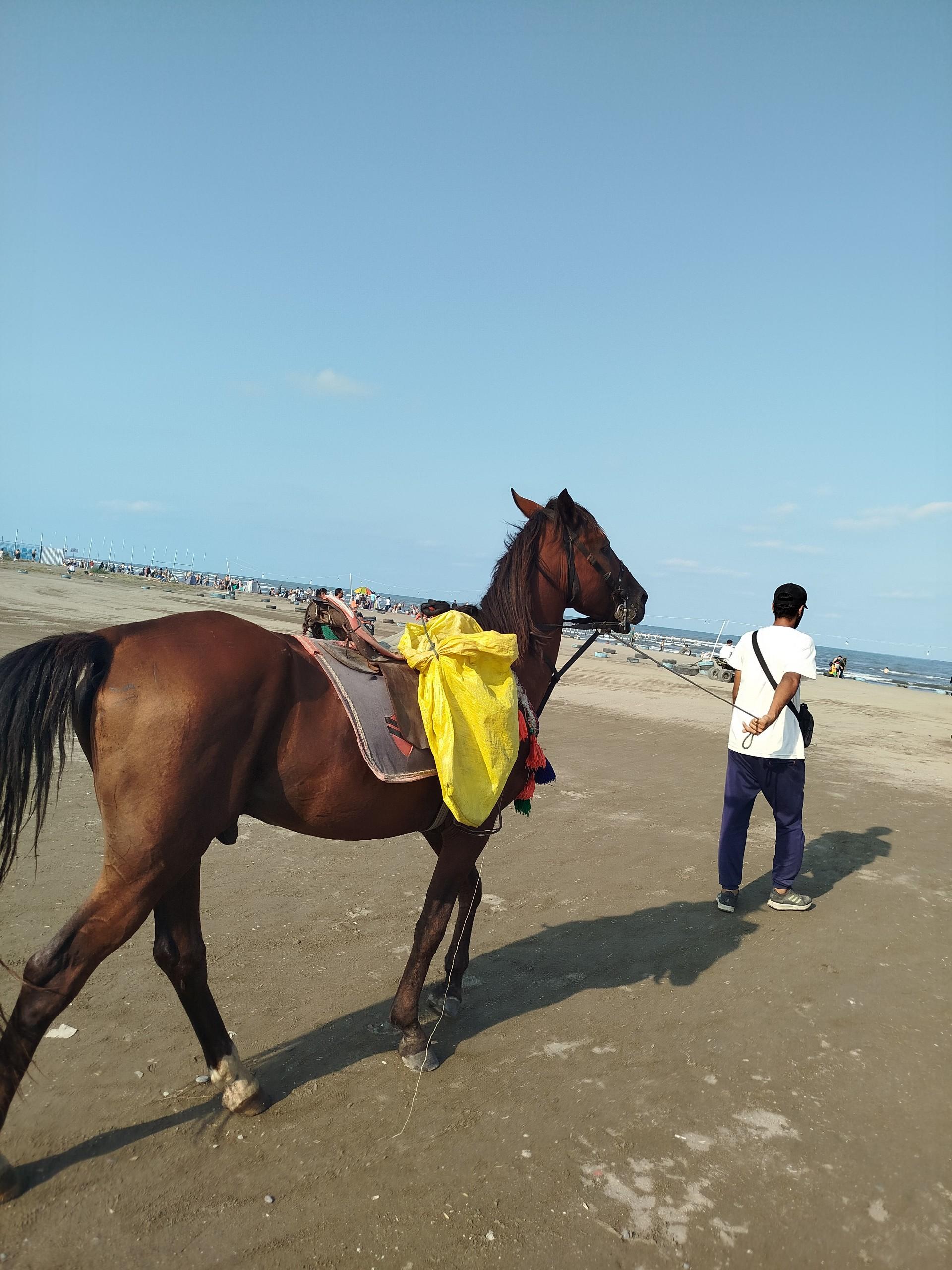 عکس ساحل شیندان