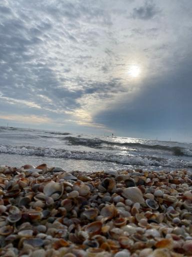 عکس ساحل شیندان