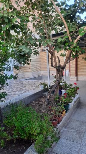 عکس پانسیون مطالعاتی دخترانه دانش