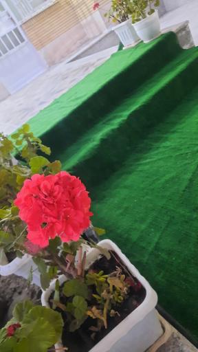 عکس پانسیون مطالعاتی دخترانه دانش