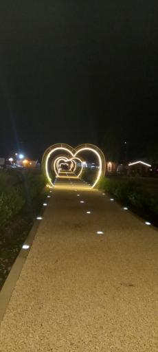 عکس ساحل شیندان