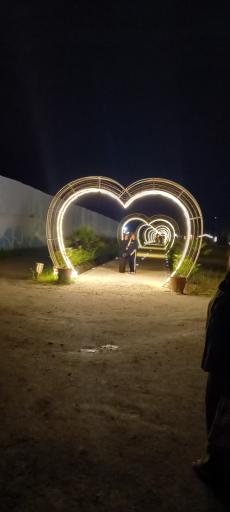 عکس ساحل شیندان