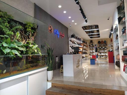 عکس کیف و کفش پای من