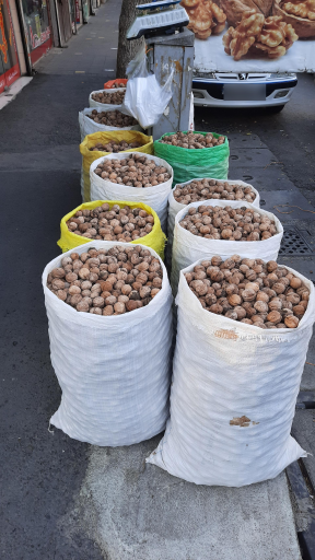 عکس عطاری و گیاهان دارویی حسینی