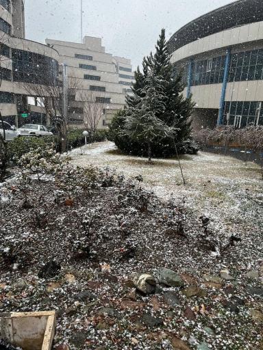 عکس دانشگاه آزاد اسلامی واحد تهران مرکزی (مجتمع سپهبد شهید حاج قاسم سلیمانی)