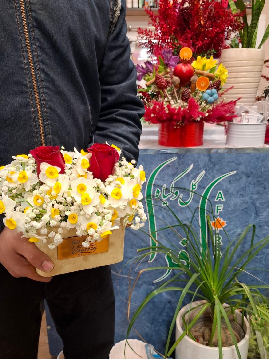 عکس گل و گیاه افرا