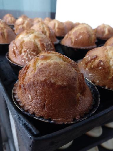 عکس کلوچه فومن محسن