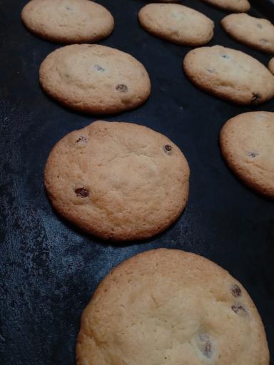 کلوچه فومن محسن