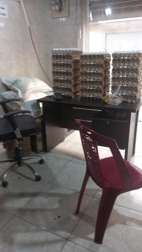 توزیع تخم مرغ نوری