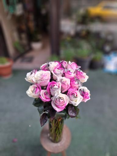 عکس گل و گیاه افرا
