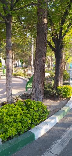 عکس میدان جهاد