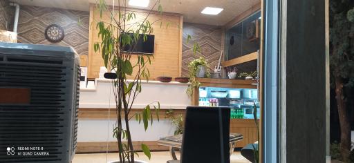 عکس کباب شاهان