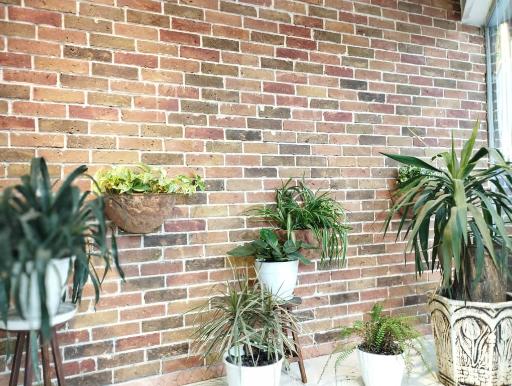 اغذیه تیرانداز 