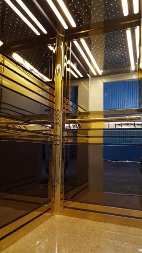 نگین آسانبر همتا 