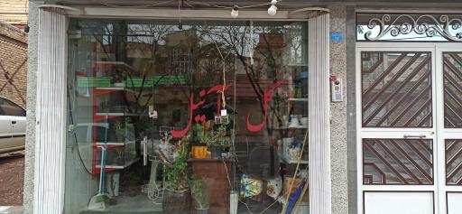 عکس گل آنیل