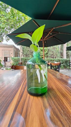 عکس کافه روحی