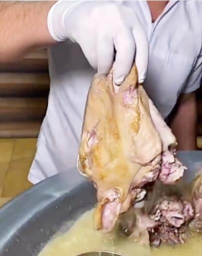 عکس طباخی کاج