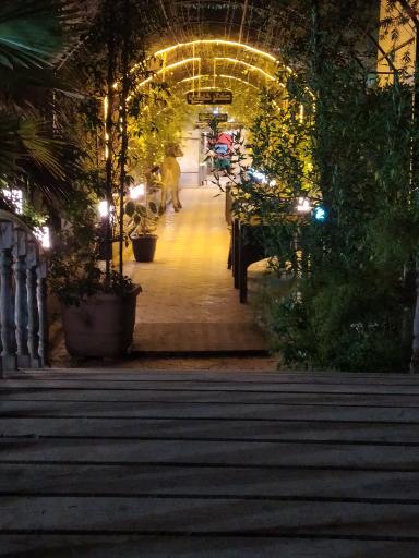 عکس دهکده پروتئینی دکتر خاکی 