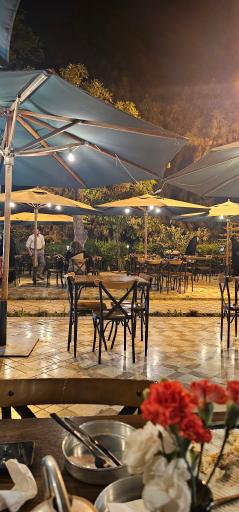 عکس کافه روحی