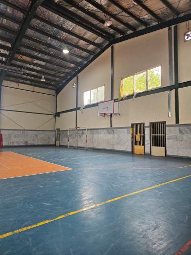 عکس زمین بسکتبال 