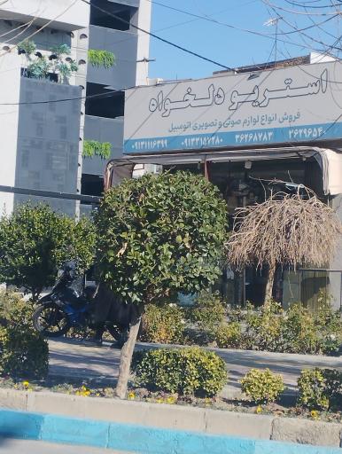 عکس استریو دلخواه