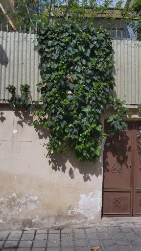 عکس موزه عمارت کاظمی