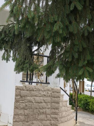 عکس مهمانسرای لاله چالوس