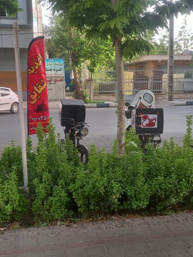 عکس اغذیه شقایق