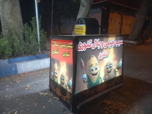 عکس اغذیه شقایق