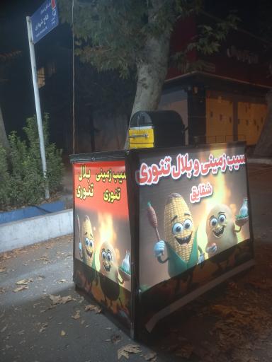 عکس اغذیه شقایق