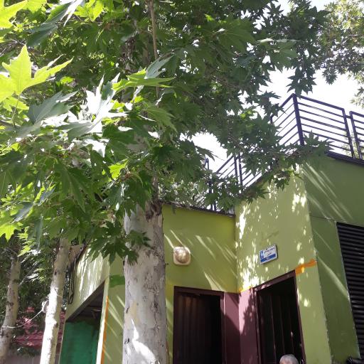 عکس سرویس بهداشتی 