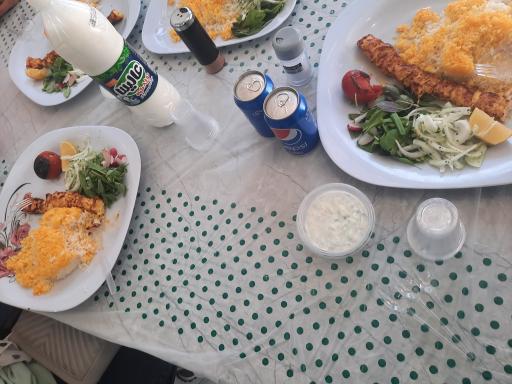 عکس باربیکیو جیگر کباب