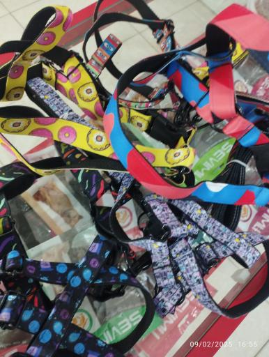 عکس داروخانه دامپزشکی و پت شاپ دکتر قاسمی 