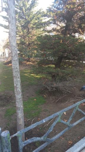 عکس پارک موزه آب